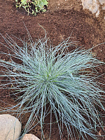 БЛАГОУСТРОЙСТВО, ОЗЕЛЕНЕНИЕ - СтройЛюкс