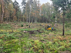 ЦОКОЛЬНЫЙ ЭТАЖ КП ИВОЛГА - СтройЛюкс