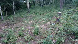 П. Кузьмоловский "ДОМ ПОД КЛЮЧ ИЗ КЛЕЕНОГО БРУСА" - СтройЛюкс